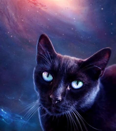 Harnessing the Dark Energy: Cat Lineages and the Secrets of Black Magic